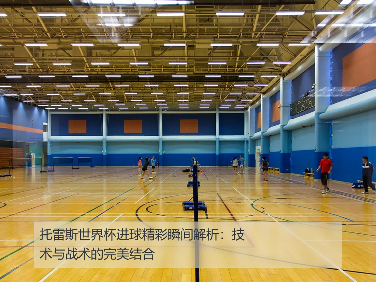 托雷斯世界杯进球精彩瞬间解析：技术与战术的完美结合